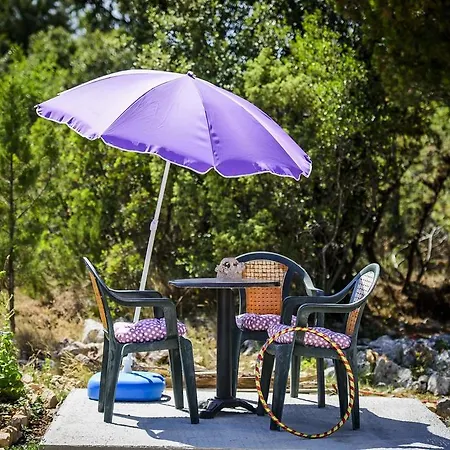 Apartment Sunny Side